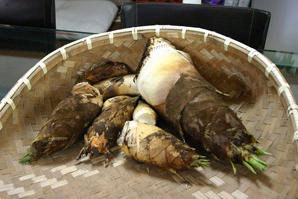 Photo of Bamboo shoots and How it is Used in Authentic Thai Recipes.