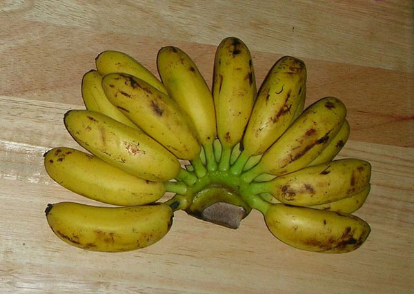 Photo of Banana and How it is Used in Authentic Thai Recipes.