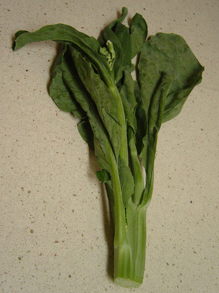 Photo of Chinese broccoli and How it is Used in Authentic Thai Recipes.