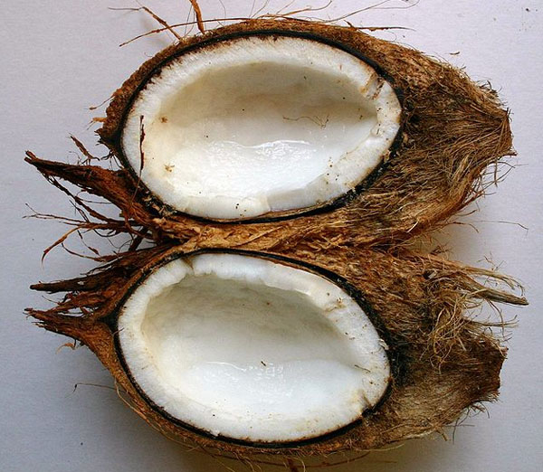 Photo of Coconut and How it is Used in Authentic Thai Recipes.