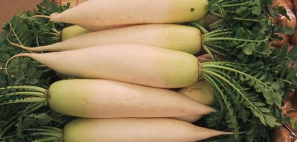 Photo of Daikon and How it is Used in Authentic Thai Recipes.