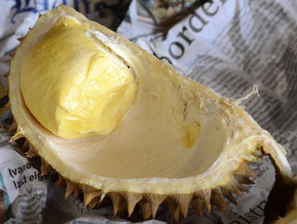 Photo of Durian and How it is Used in Authentic Thai Recipes.