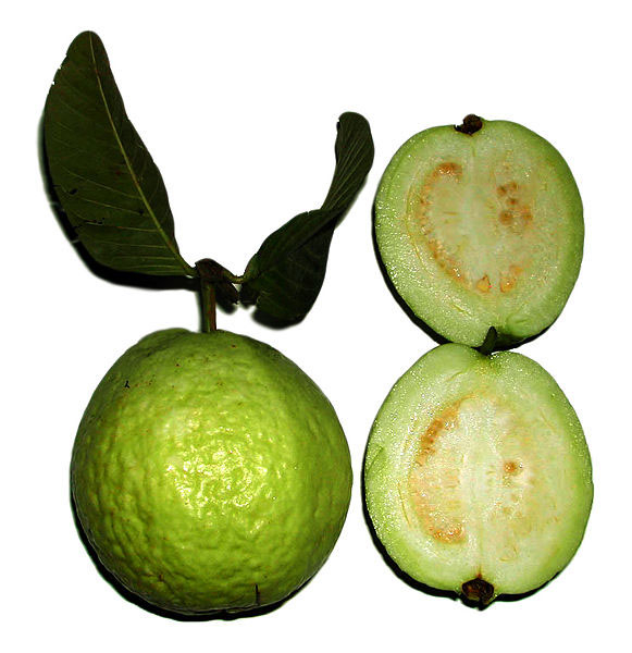 Photo of Guava and How it is Used in Authentic Thai Recipes.