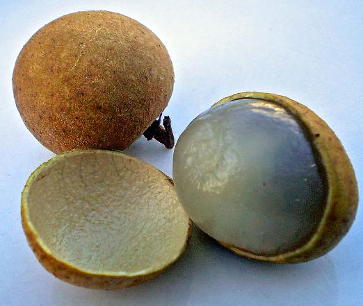 Photo of Longan and How it is Used in Authentic Thai Recipes.