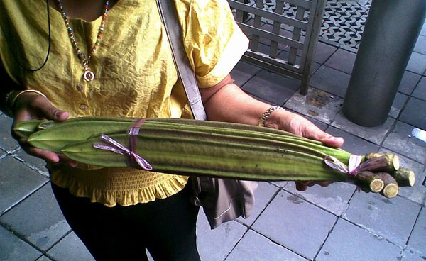 Photo of Pheka and How it is Used in Authentic Thai Recipes.