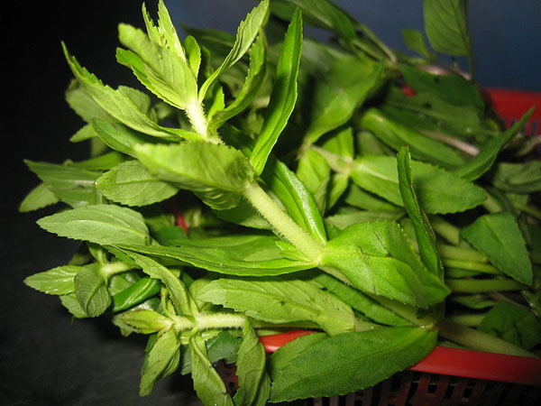 Photo of Rice paddy herb and How it is Used in Authentic Thai Recipes.