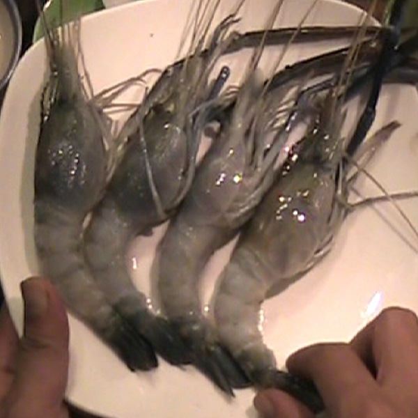 Photo of Shrimp (Prawn) and How it is Used in Authentic Thai Recipes.