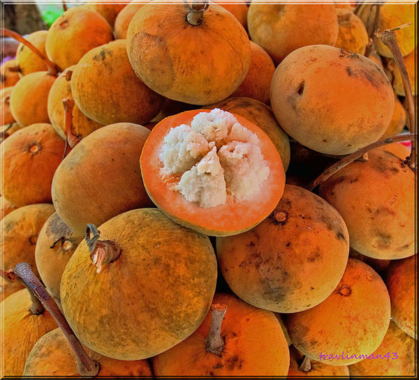 Photo of Santol and How it is Used in Authentic Thai Recipes.
