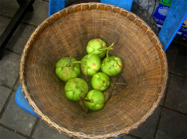 Photo of Makok and How it is Used in Authentic Thai Recipes.