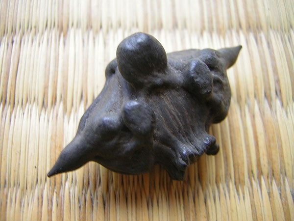 Photo of Water caltrop and How it is Used in Authentic Thai Recipes.