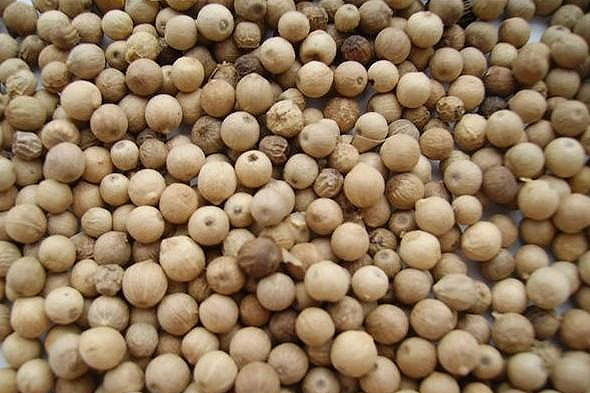 Photo of White Peppercorns and How it is Used in Authentic Thai Recipes.
