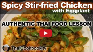 Watch Video About Spicy Stir-fried Chicken with Eggplant