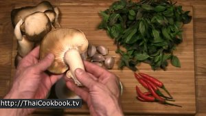 Photo of How to Make Spicy Oyster Mushrooms with Sweet Basil - Step 1